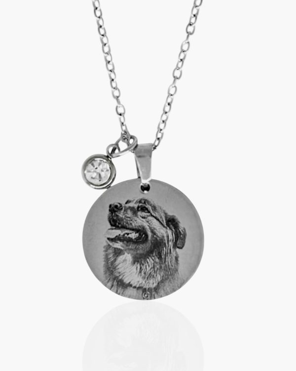 Colar Personalizado Pet