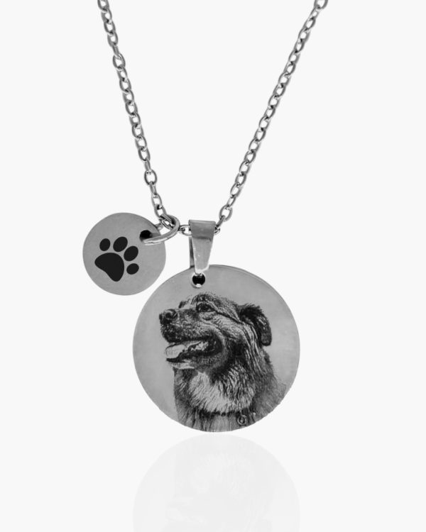 Colar Pet duplo Personalizado