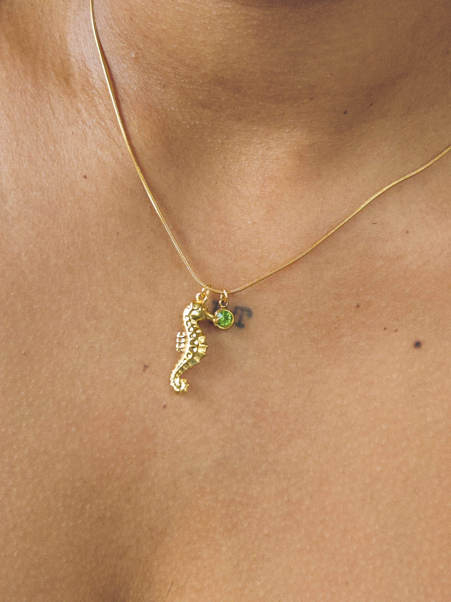 Colar Cavalo Marinho com Ponto de Luz Banhado a Ouro 18k