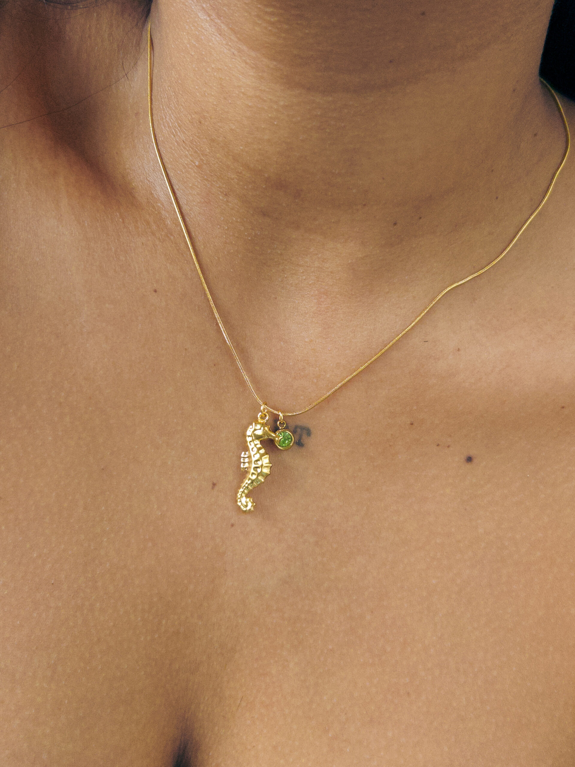 Colar Cavalo Marinho com Ponto de Luz Banhado a Ouro 18k - Imagem 2